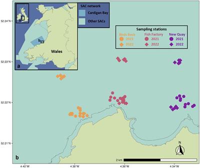 Temporal niche partitioning as a potential mechanism for coexistence in two sympatric mesopredator sharks